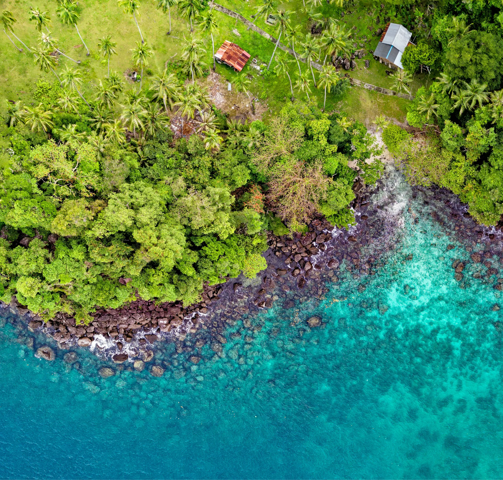 Blue Water image 2