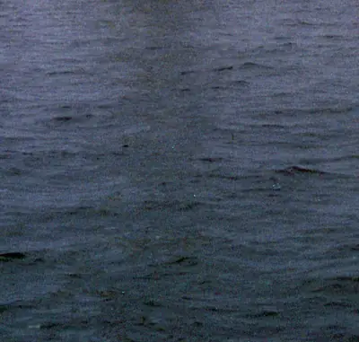 Sailing