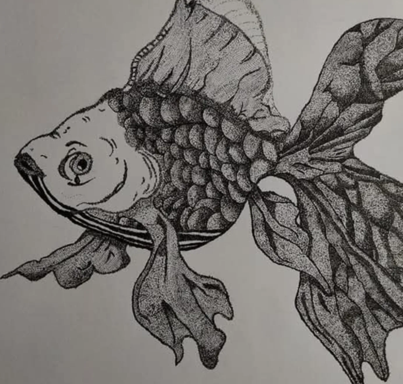 A lonely fish image 2