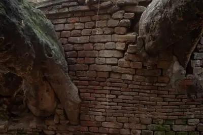 Buttressed through roots and ruins