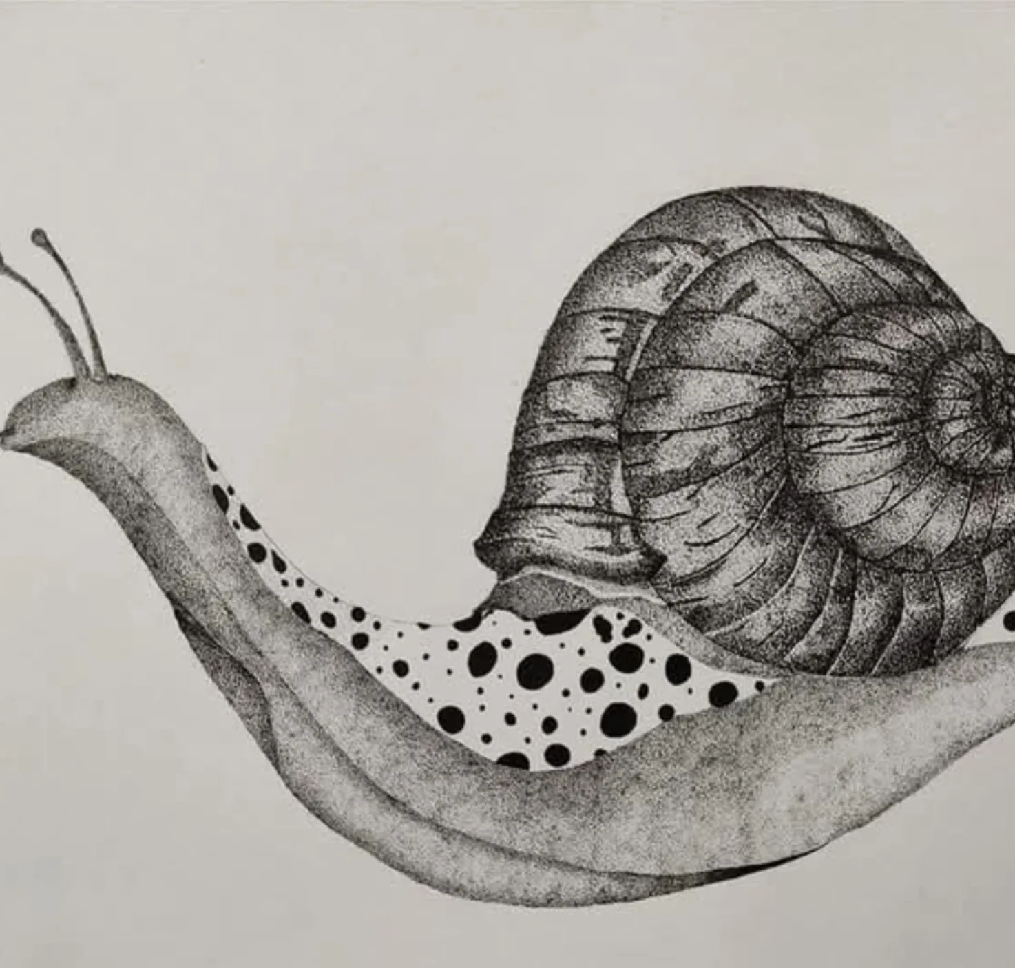 An old memories snail. image 2