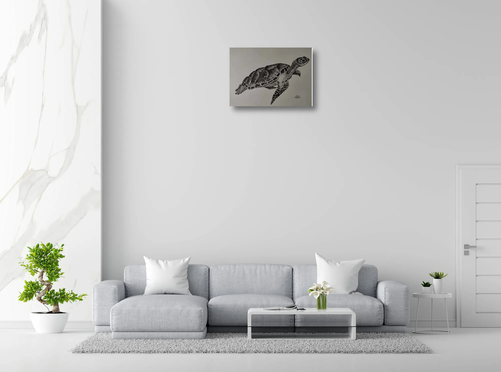 slow unhurried turtle image 3