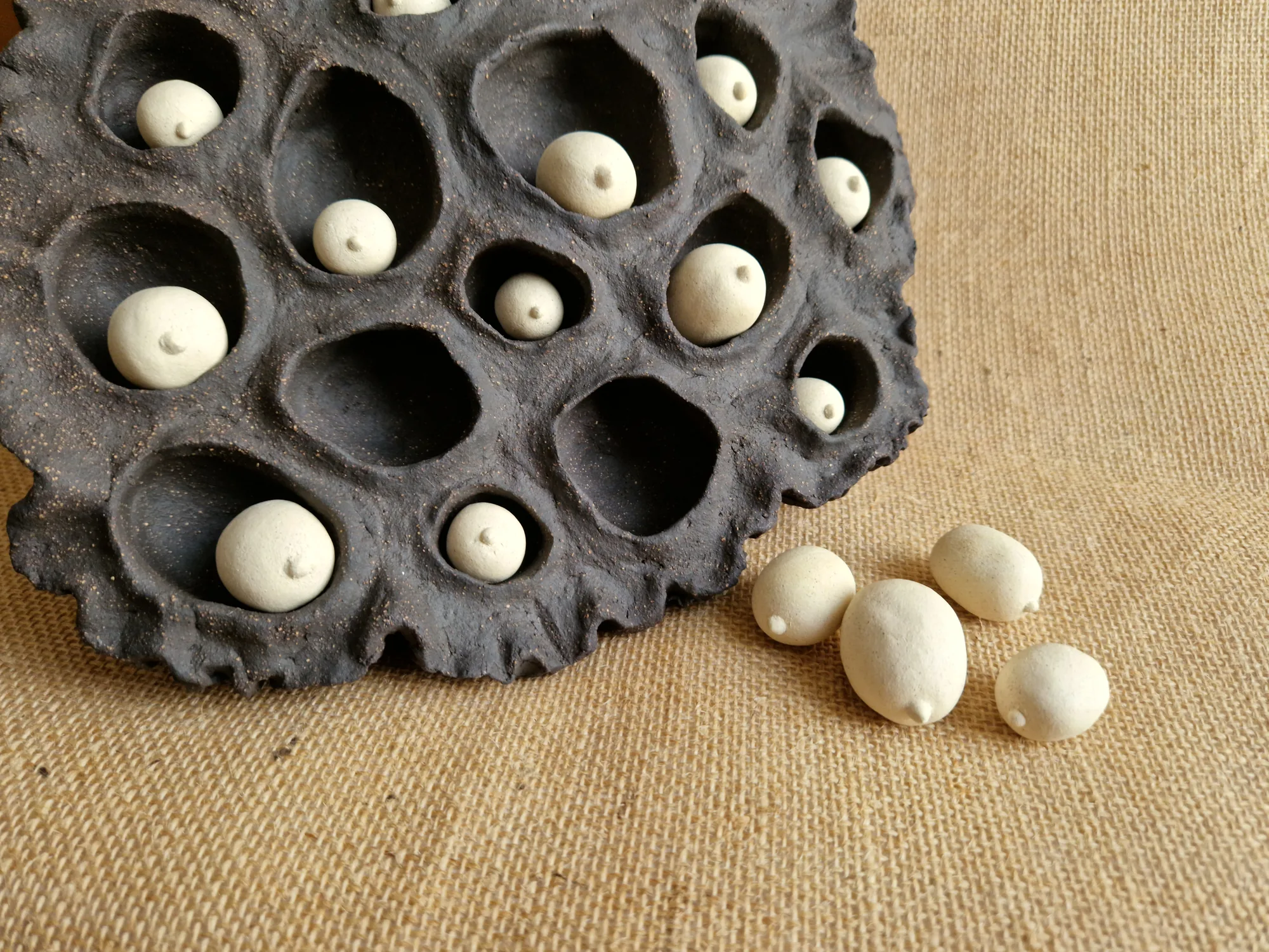 Lotus Pod image 3