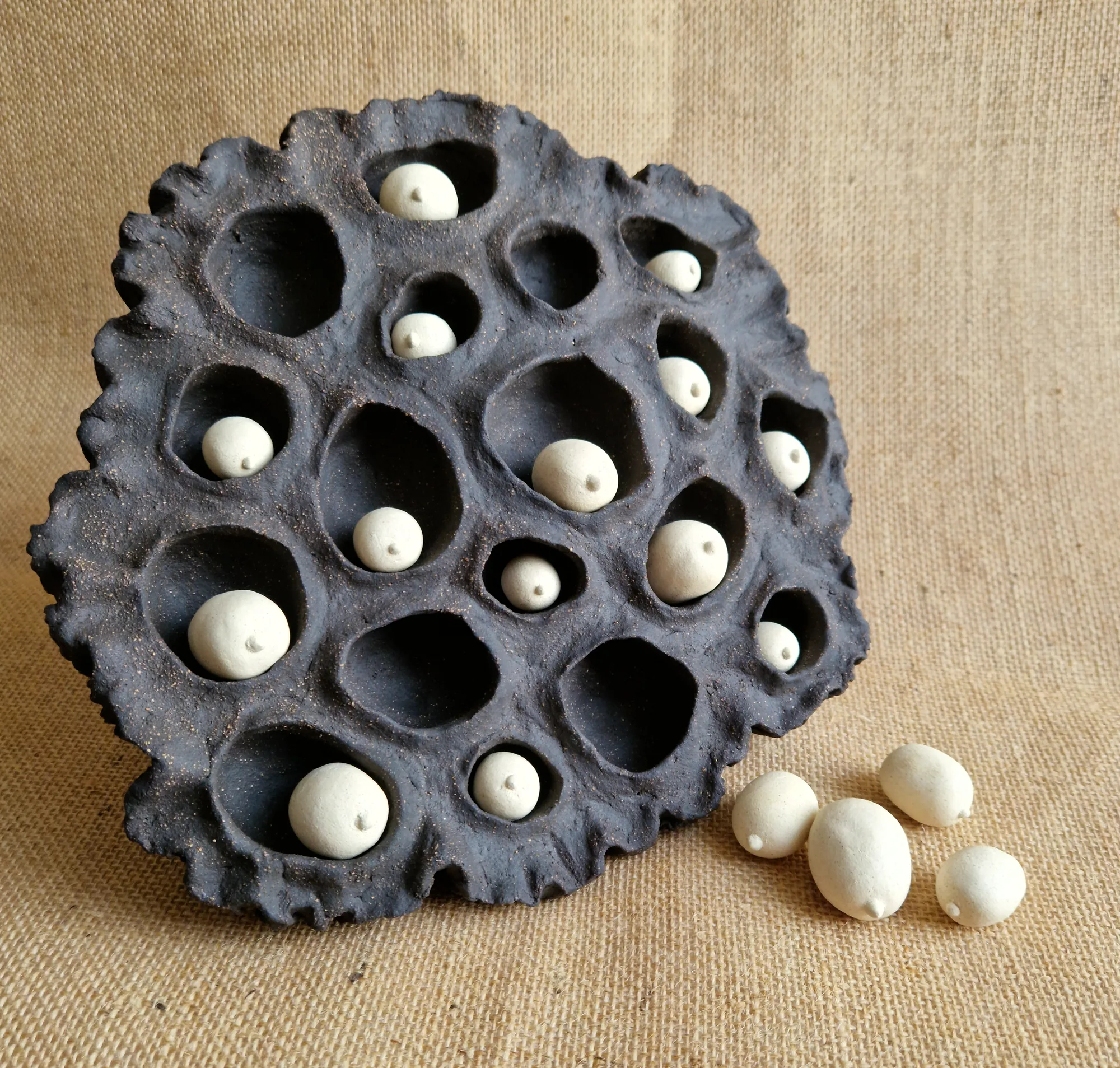 Lotus Pod