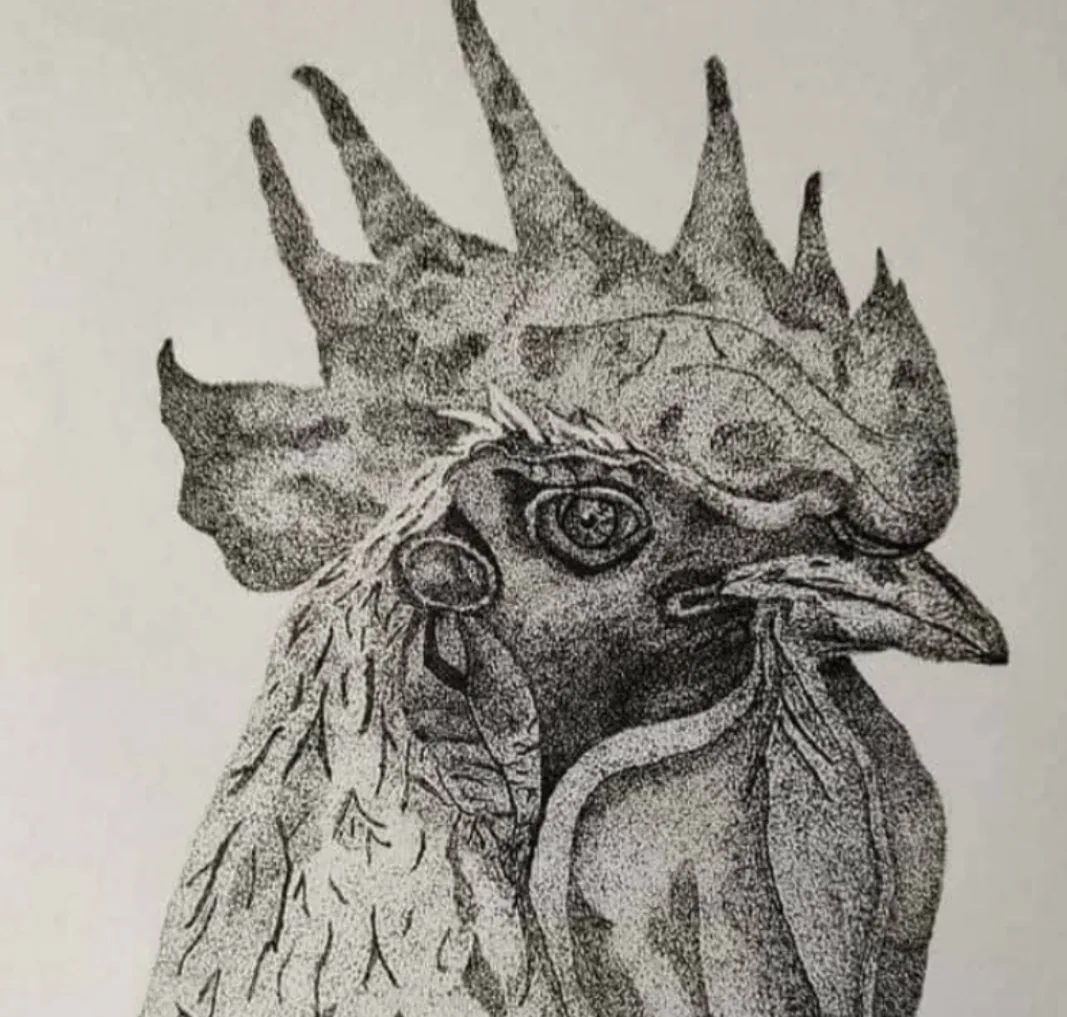 A distinctive smart rooster. image 2