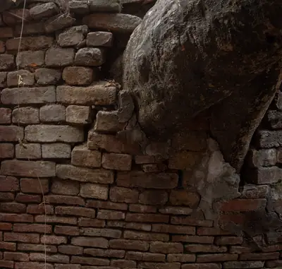 Buttressed through roots and ruins