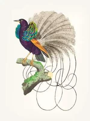 Royal Elegance: The Enchanted Bird of Paradise