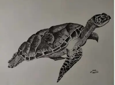 slow unhurried turtle