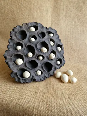 Lotus Pod
