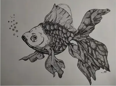 A lonely fish